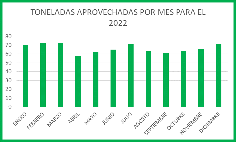 DINC 2020-I.JPG